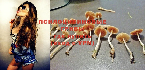 apvp Куйбышев