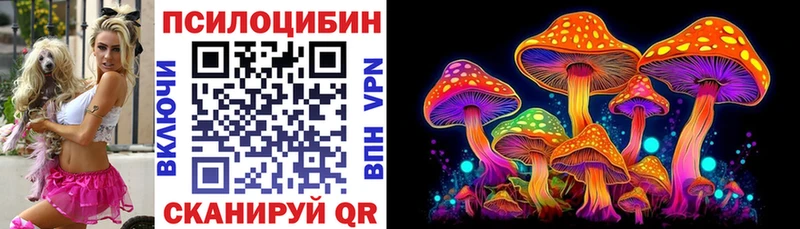 Купить закладки  Баксан  Псилоцибиновые грибы MAGIC MUSHROOMS 